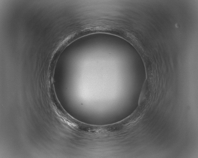 X0000051250395200507011658