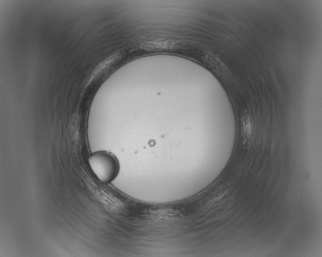 X0000051250396200507011658