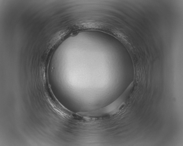 X0000051250398200507011658