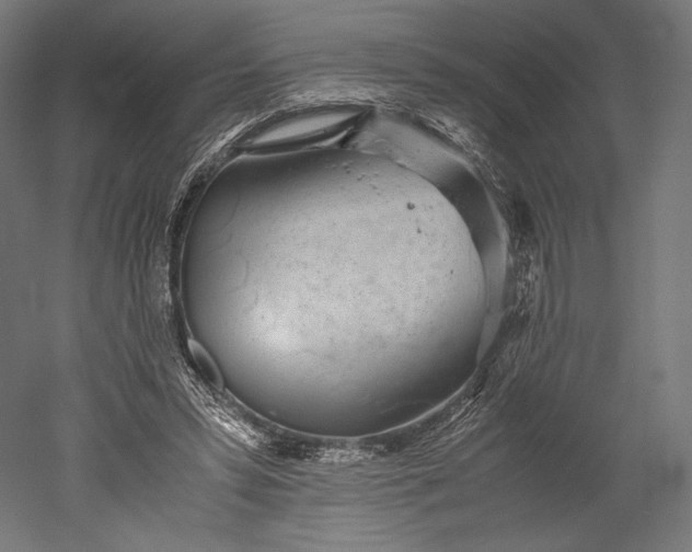 X0000051250399200507011658