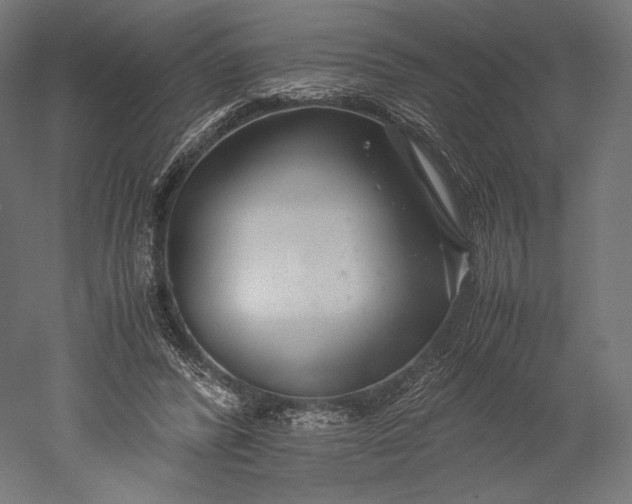 X0000051250400200507011658