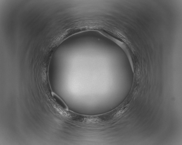 X0000051250401200507011657