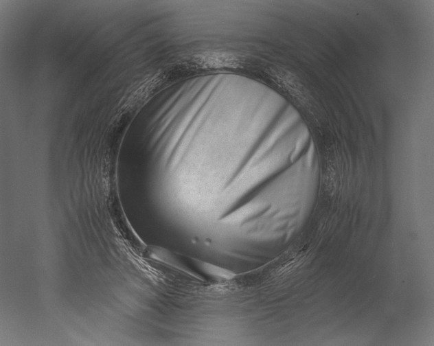 X0000051250402200507011657