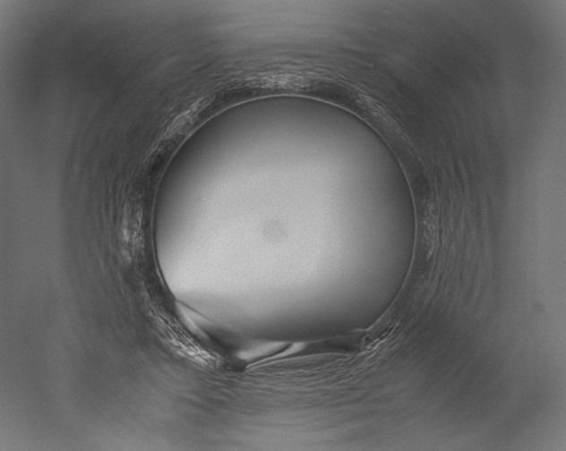 X0000051250403200507011657