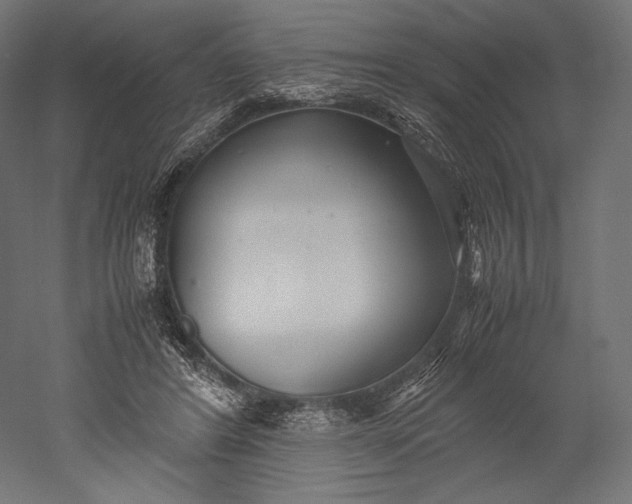 X0000051250404200507011657