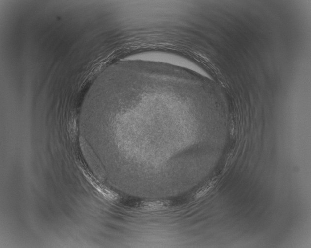 X0000051250405200507011657