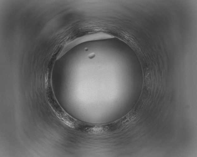 X0000051250406200507011657