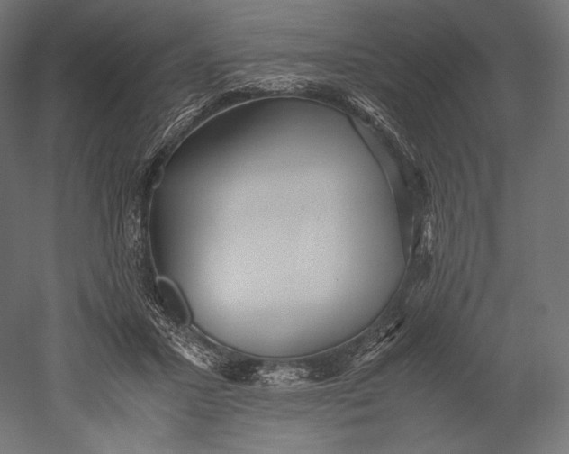 X0000051250407200507011657