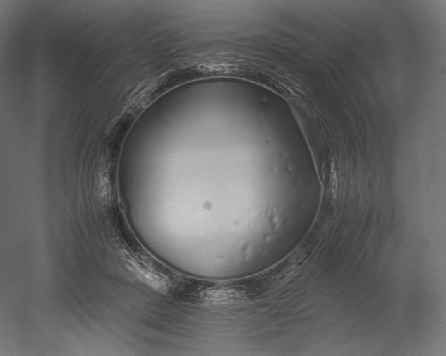 X0000051250408200507011657