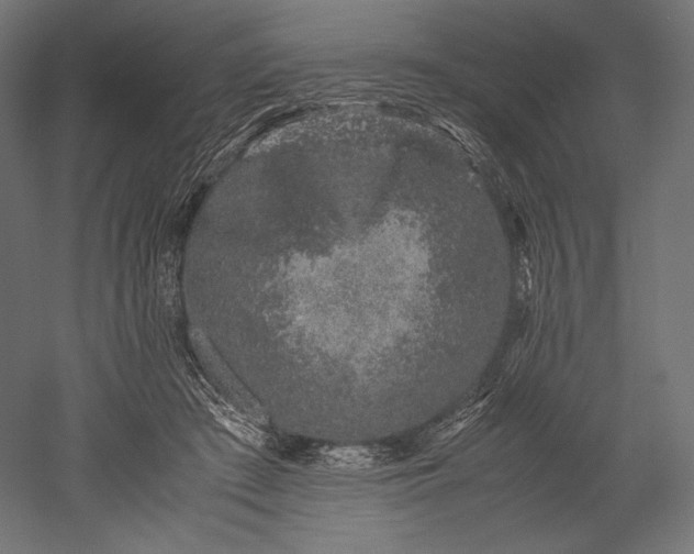 X0000051250409200507011657