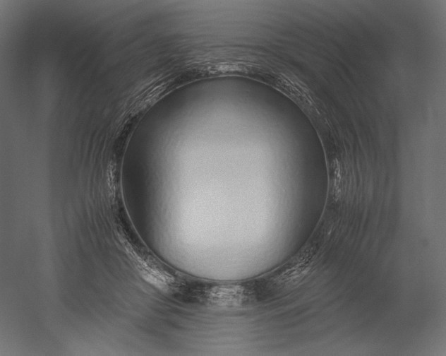 X0000051250410200507011657