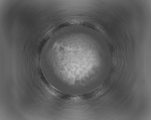 X0000051250411200507011657