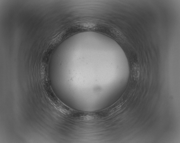 X0000051250412200507011657