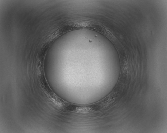 X0000051250414200507011657