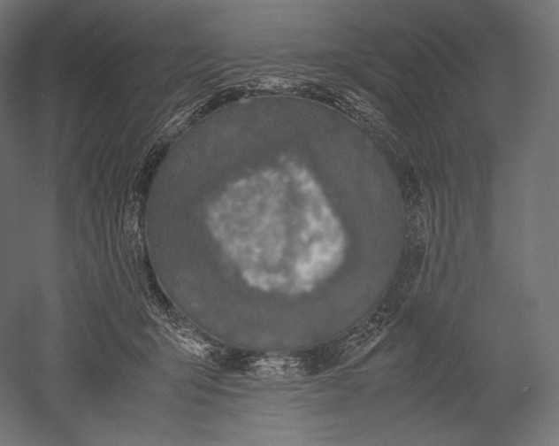 X0000051250415200507011657