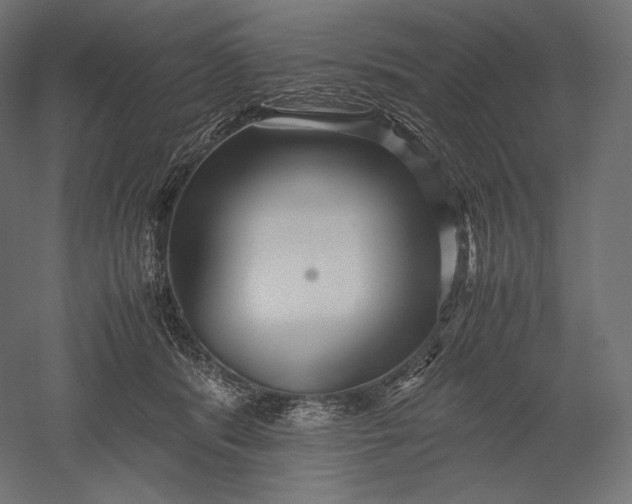 X0000051250416200507011657