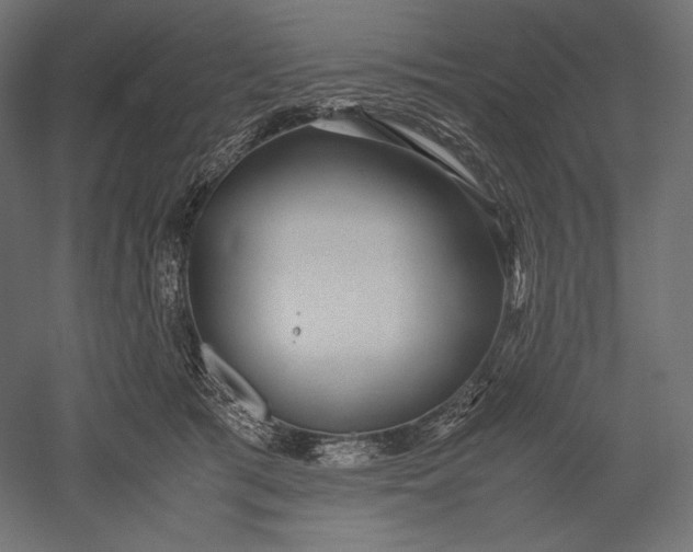 X0000051250417200507011657