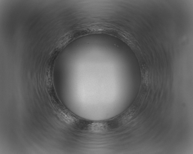 X0000051250418200507011657