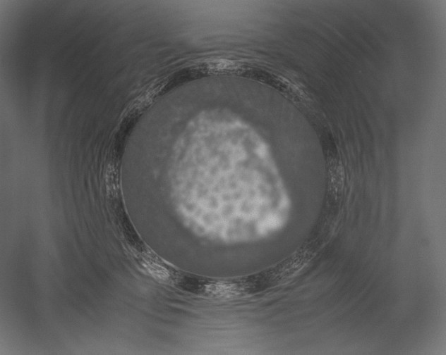 X0000051250419200507011657