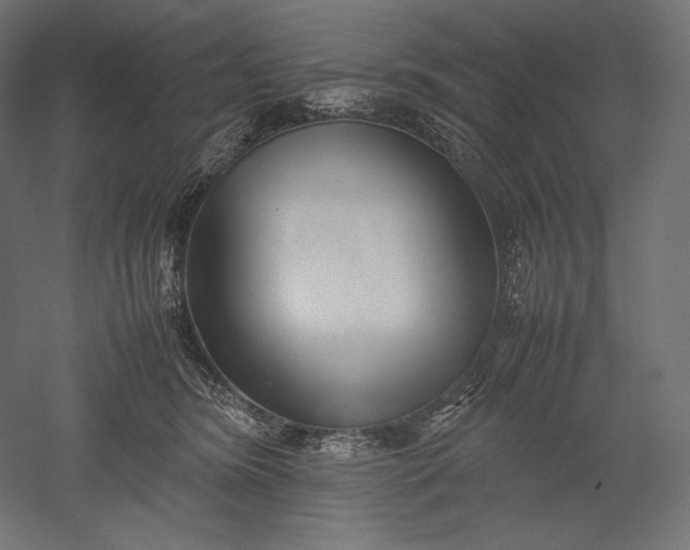 X0000051250420200507011657