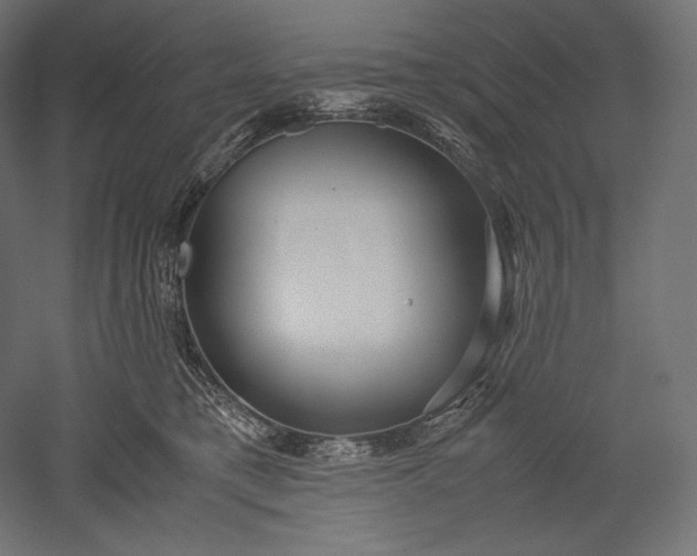 X0000051250421200507011657