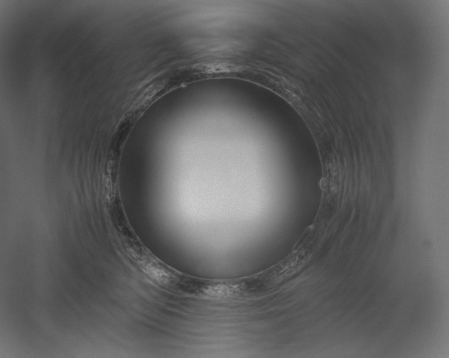 X0000051250422200507011657