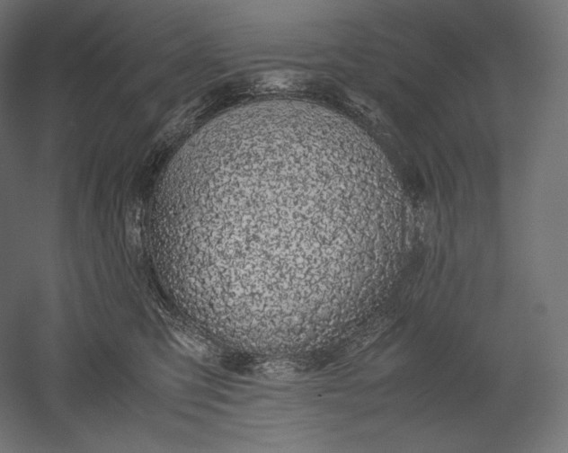 X0000051250423200507011657