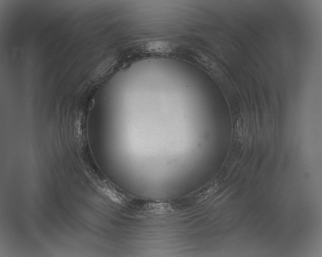 X0000051250424200507011657