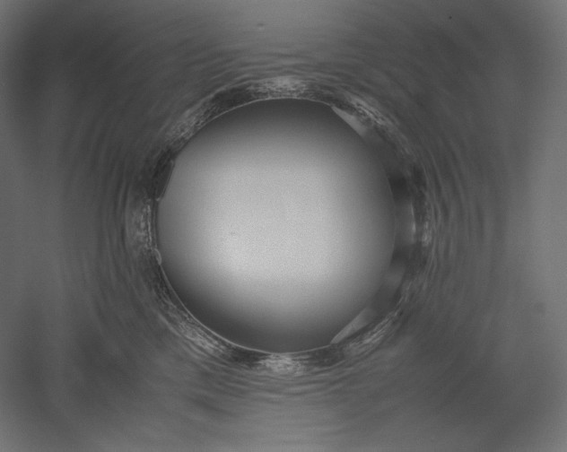 X0000051250425200507011657