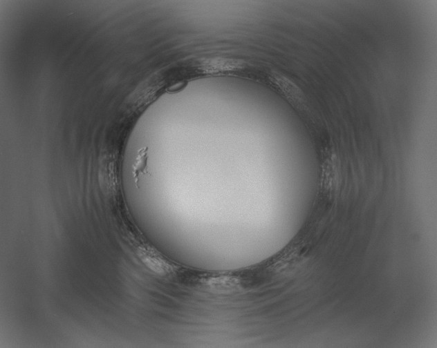 X0000051250426200507011657