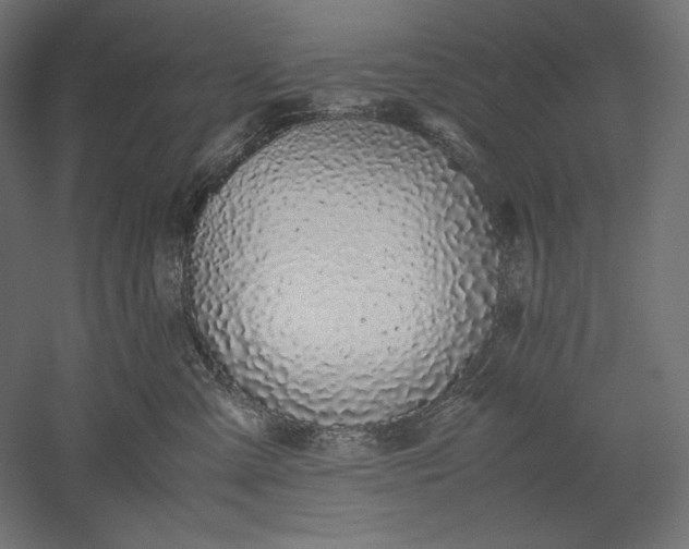 X0000051250427200507011657