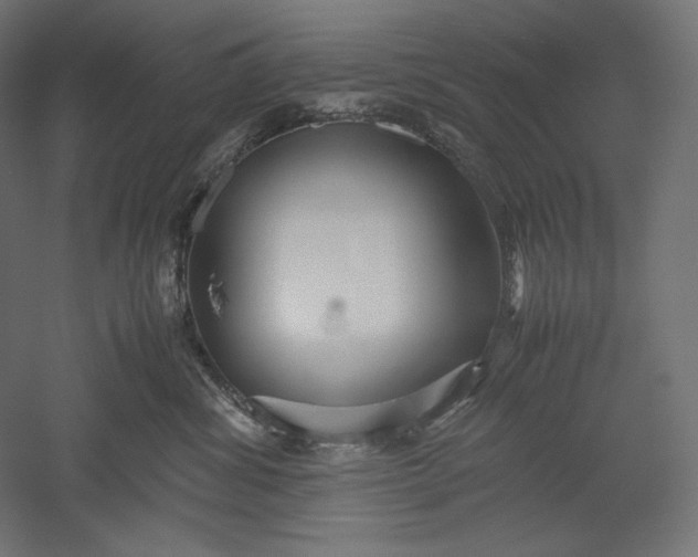 X0000051250428200507011657