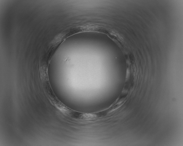 X0000051250429200507011657