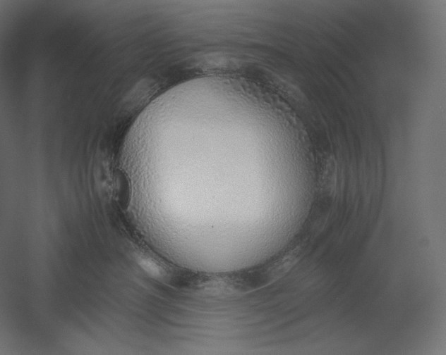 X0000051250430200507011657