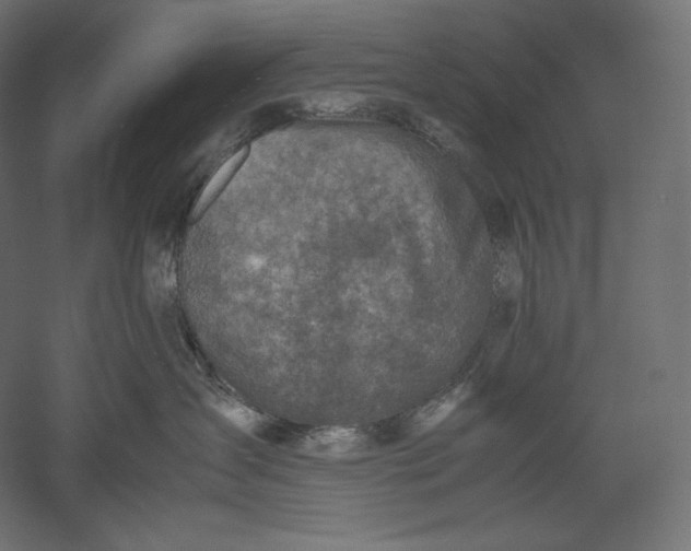 X0000051250431200507011657