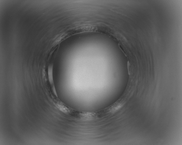 X0000051250432200507011657