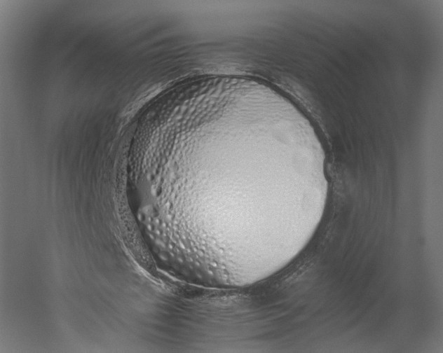 X0000051250433200507011656