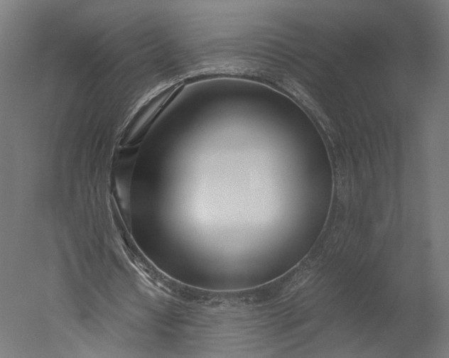 X0000051250434200507011656