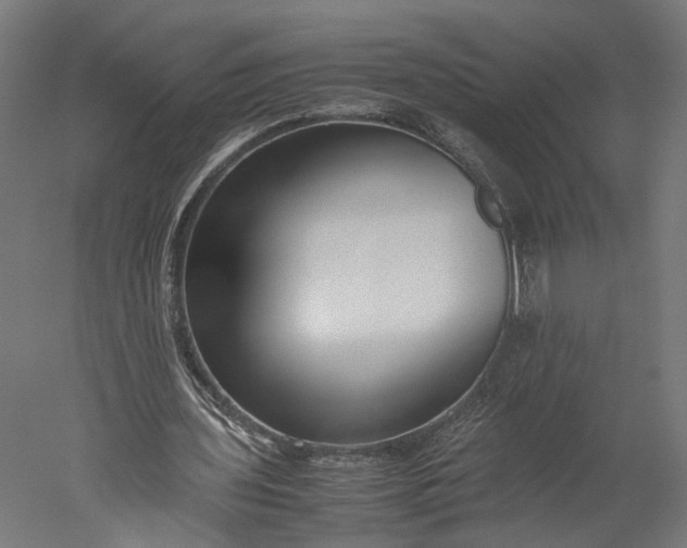 X0000051250435200507011656