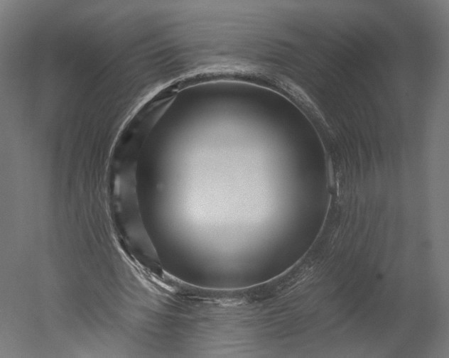 X0000051250436200507011656