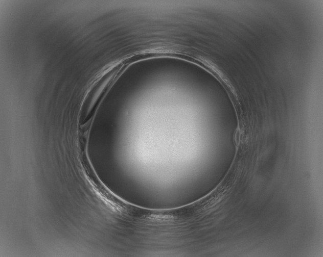 X0000051250437200507011656