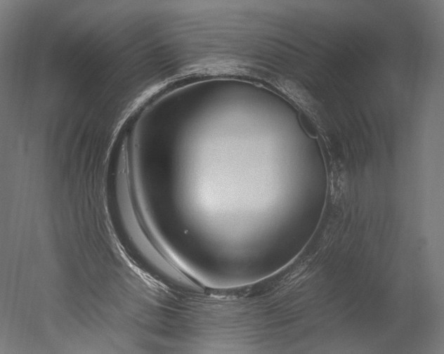 X0000051250438200507011656