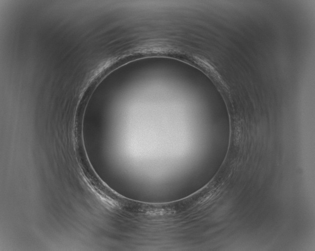 X0000051250439200507011656