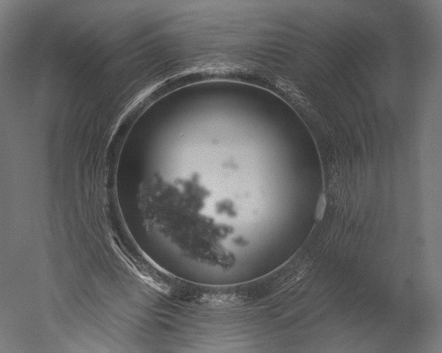 X0000051250440200507011656