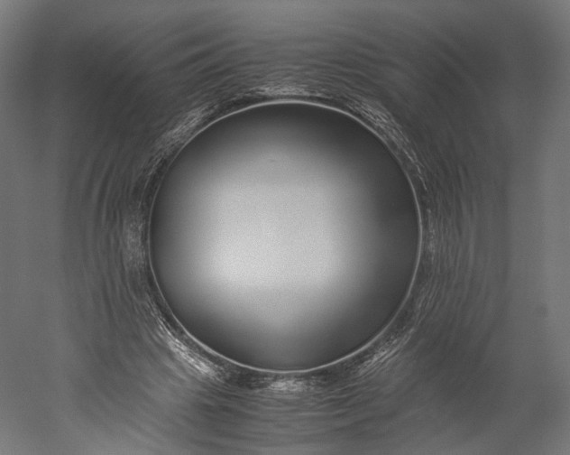 X0000051250441200507011656