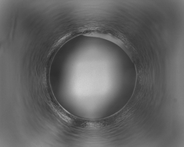 X0000051250442200507011656