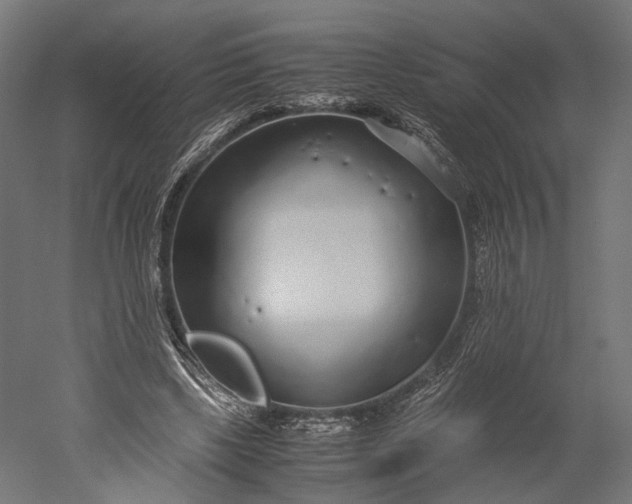 X0000051250443200507011656