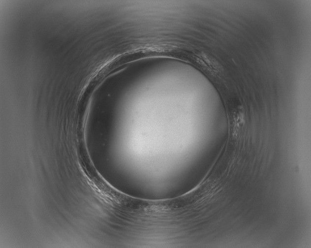 X0000051250444200507011656