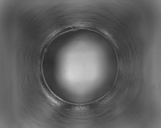 X0000051250445200507011656