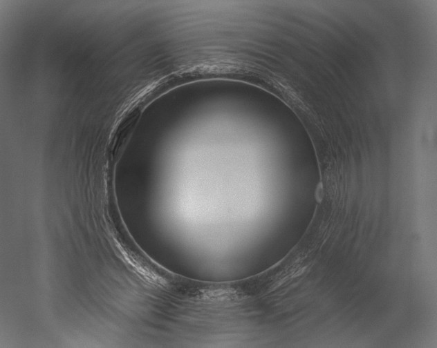 X0000051250446200507011656